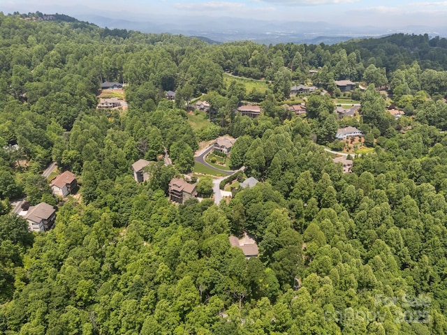 110 Spring Path, Hendersonville, NC 28739 - bird's eye view of a forest