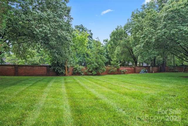 6632 Hawksnest Dr, Charlotte, NC 28269 - photo 43