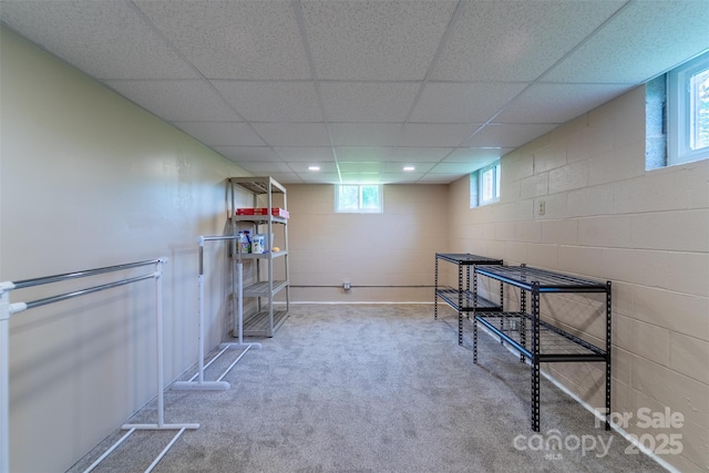 191 Rolling Green Dr, Sylva, NC 28779 - basement featuring carpet, concrete block wall, and a drop ceiling