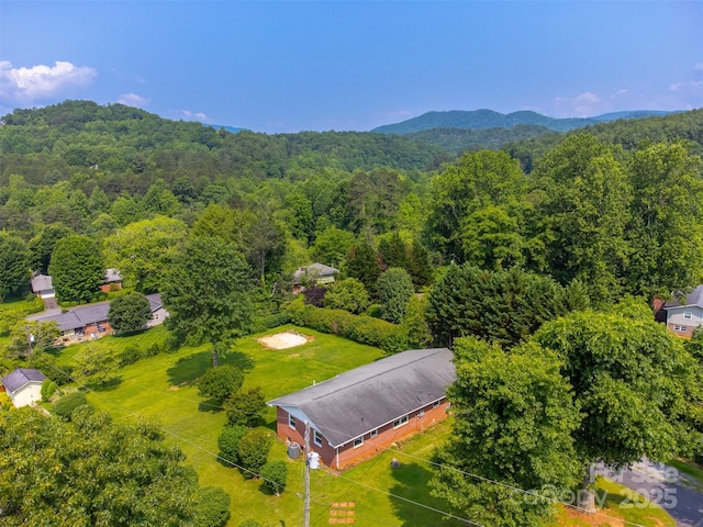 191 Rolling Green Dr, Sylva, NC 28779 - bird's eye view of a forest