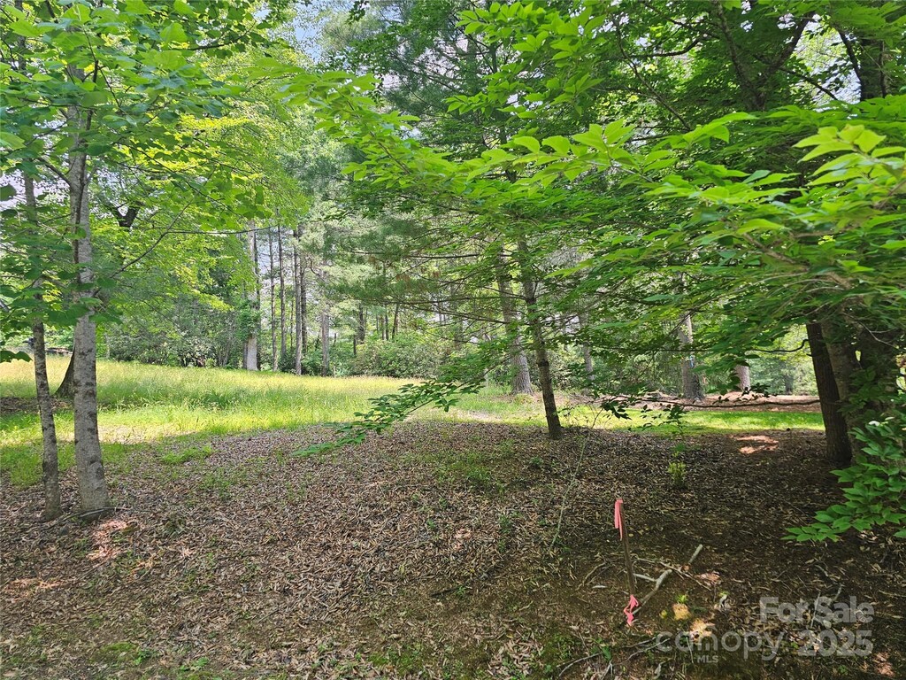 A3 Allison Creek Trl Unit A3, Brevard, NC 28712 - photo 1