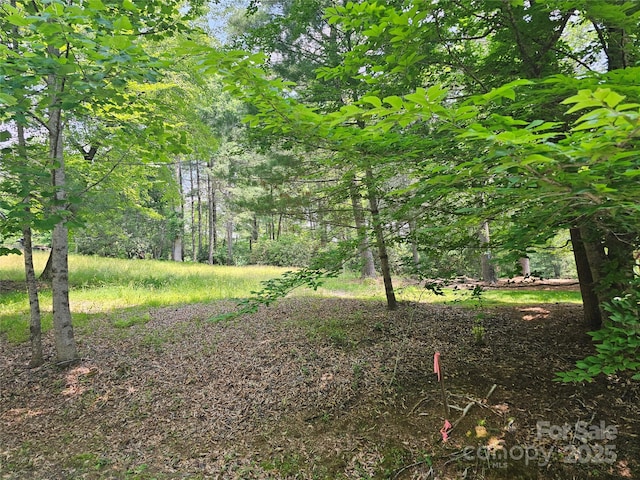 A3 Allison Creek Trl Unit A3, Brevard, NC 28712 - photo 1