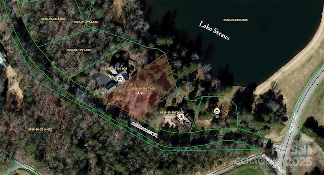 A3 Allison Creek Trl Unit A3, Brevard, NC 28712 - photo 2