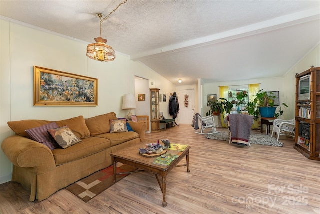 38 Hidden Forest Dr, Hendersonville, NC 28792 - living area featuring light wood-style flooring and a textured ceiling