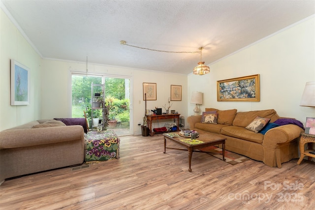 38 Hidden Forest Dr, Hendersonville, NC 28792 - living area with ornamental molding, light wood-type flooring, vaulted ceiling, and a textured ceiling