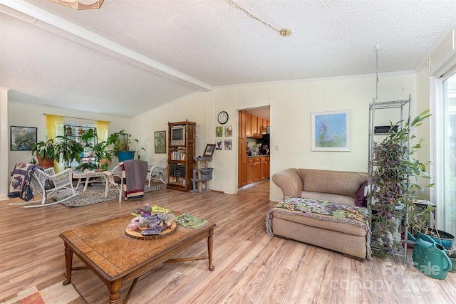 38 Hidden Forest Dr, Hendersonville, NC 28792 - living room with light wood-style flooring, a textured ceiling, and crown molding