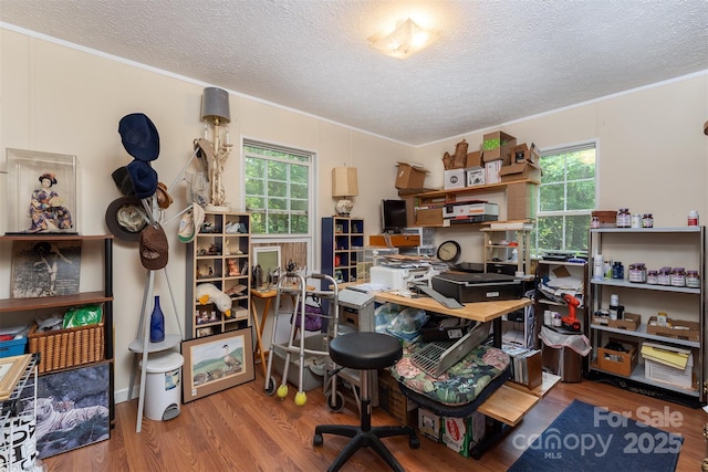 38 Hidden Forest Dr, Hendersonville, NC 28792 - office space featuring a textured ceiling, plenty of natural light, ornamental molding, and wood finished floors