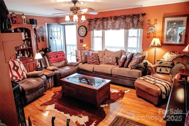 171 Shores Way, Boone, NC 28607 - living room with ceiling fan, healthy amount of natural light, wood finished floors, and ornamental molding