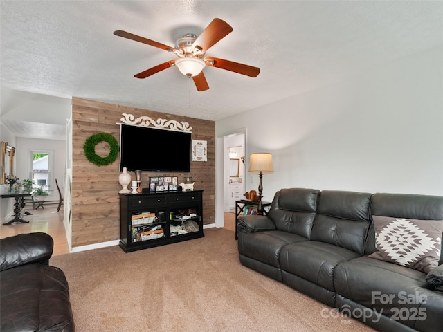 540 Windswept Ridge Rd, Canton, NC 28716 - living area featuring ceiling fan, carpet floors, a textured ceiling, and baseboard heating