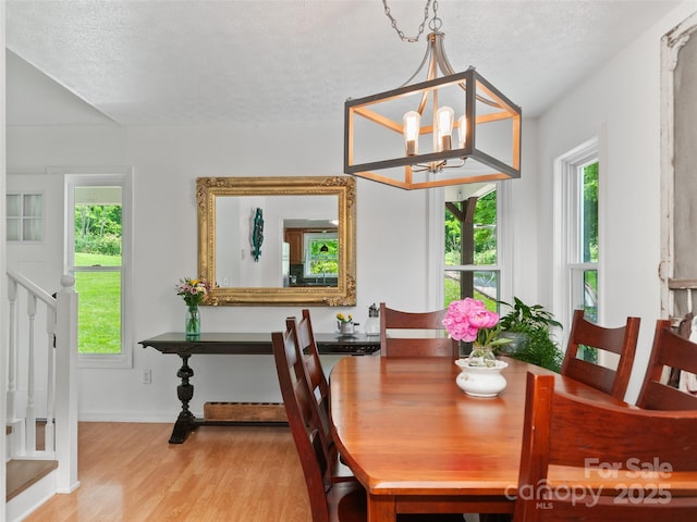 540 Windswept Ridge Rd, Canton, NC 28716 - dining space with wood finished floors, a chandelier, healthy amount of natural light, baseboards, and a textured ceiling