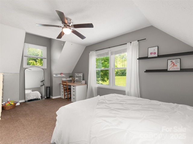 540 Windswept Ridge Rd, Canton, NC 28716 - carpeted bedroom with lofted ceiling, multiple windows, a ceiling fan, and baseboards
