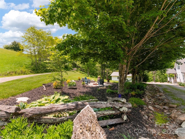 540 Windswept Ridge Rd, Canton, NC 28716 - view of grassy yard