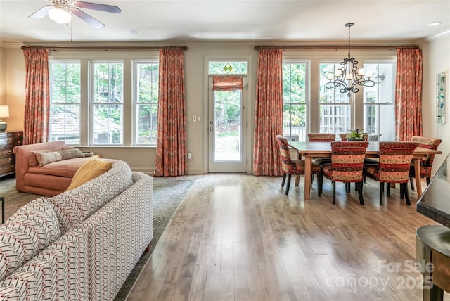 7 White Palmer Ct, Biltmore Lake, NC 28715 - dining room featuring ornamental molding, plenty of natural light, a ceiling fan, a chandelier, and wood finished floors