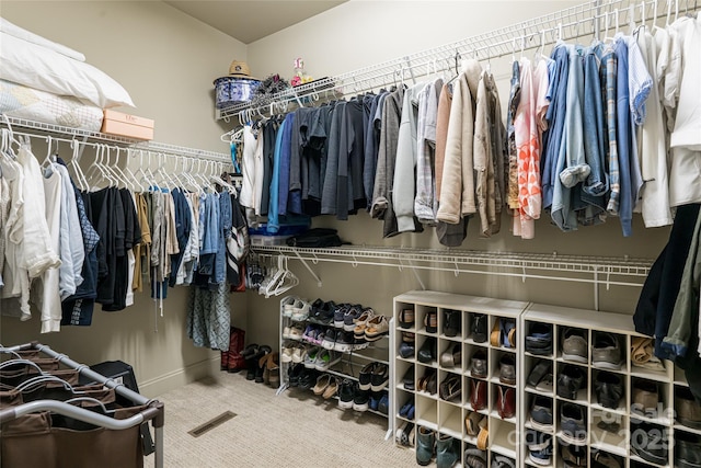 7 White Palmer Ct, Biltmore Lake, NC 28715 - spacious closet with carpet floors