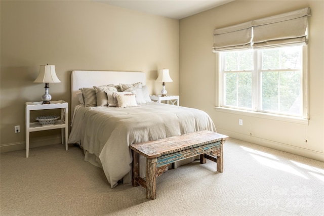 7 White Palmer Ct, Biltmore Lake, NC 28715 - bedroom with light colored carpet and baseboards