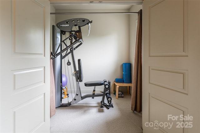 7 White Palmer Ct, Biltmore Lake, NC 28715 - workout area featuring carpet floors and baseboards