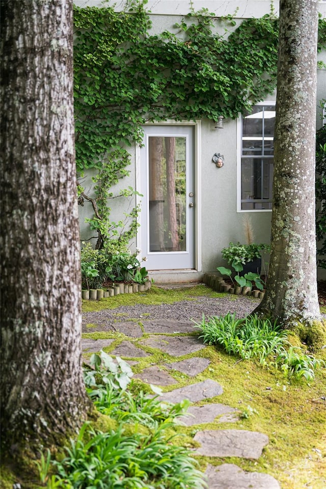 7 White Palmer Ct, Biltmore Lake, NC 28715 - doorway to property with stucco siding
