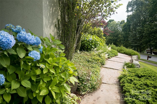 7 White Palmer Ct, Biltmore Lake, NC 28715 - view of yard
