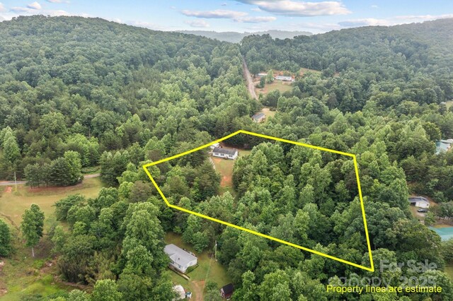 8650 Lambs Way, Connelly Springs, NC 28612 - aerial overview of property's location with a heavily wooded area and property boundaries highlighted