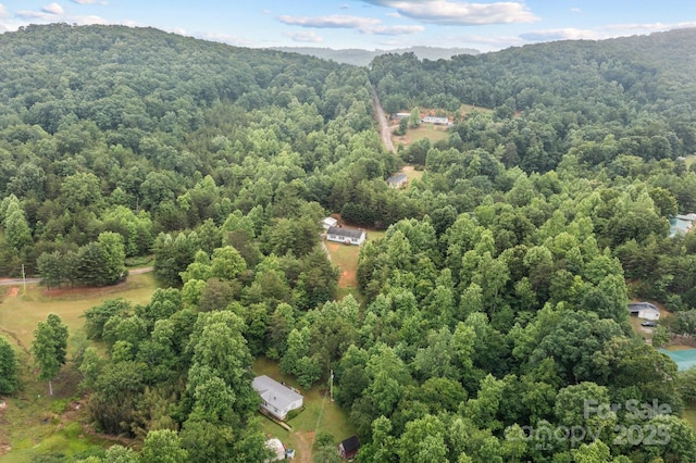 8650 Lambs Way, Connelly Springs, NC 28612 - bird's eye view of a forest