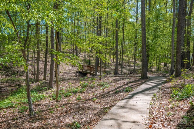167 Foxtail Dr, Mooresville, NC 28117 - photo 24