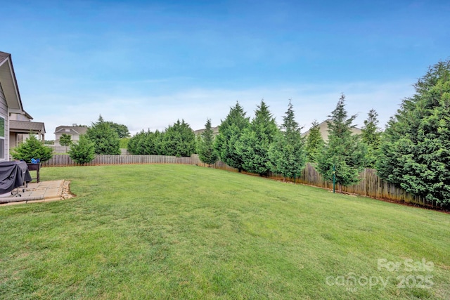246 Bushney Loop, Mooresville, NC 28115 - view of yard featuring a patio area