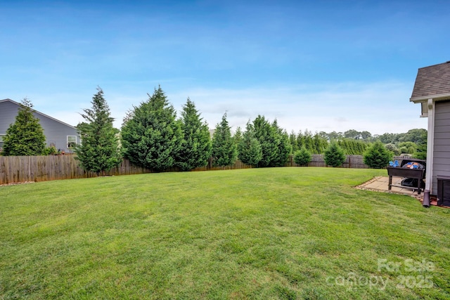 246 Bushney Loop, Mooresville, NC 28115 - view of yard