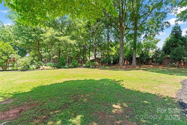 18733 Bluff Point Rd, Cornelius, NC 28031 - view of yard