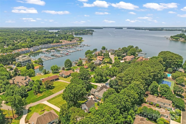 18733 Bluff Point Rd, Cornelius, NC 28031 - bird's eye view of a large body of water