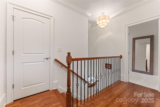 901 Hartford Ave, Charlotte, NC 28209 - stairs with wood finished floors, crown molding, a chandelier, and baseboards