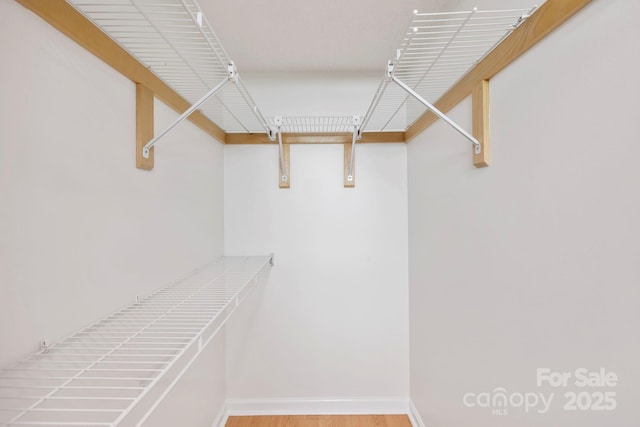 204 Woodfield Dr, Asheville, NC 28803 - walk in closet with wood finished floors