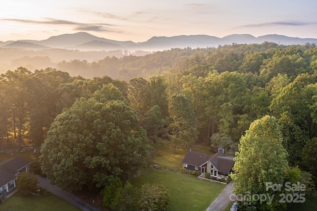 8 Briarwood Ln, Fletcher, NC 28732 - drone / aerial view of a forest and mountains