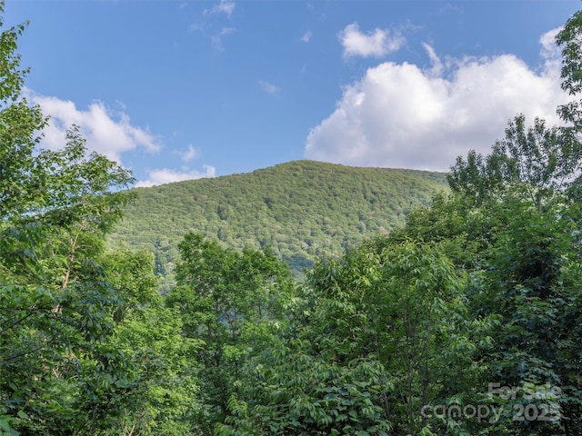 47 Tammy Dr, Maggie Valley, NC 28751 - view of mountain backdrop featuring a heavily wooded area