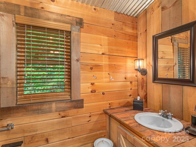 47 Tammy Dr, Maggie Valley, NC 28751 - bathroom with vanity and wood walls