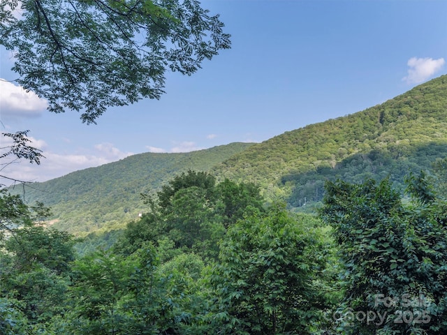 47 Tammy Dr, Maggie Valley, NC 28751 - view of mountain backdrop featuring a forest