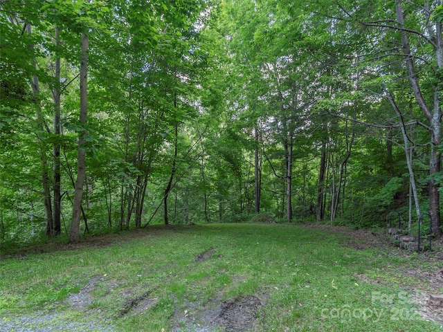 47 Tammy Dr, Maggie Valley, NC 28751 - view of yard featuring a wooded view