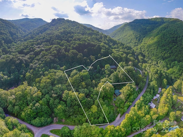 47 Tammy Dr, Maggie Valley, NC 28751 - aerial view of property's location with a forest, a mountainous background, and property parcel outlined