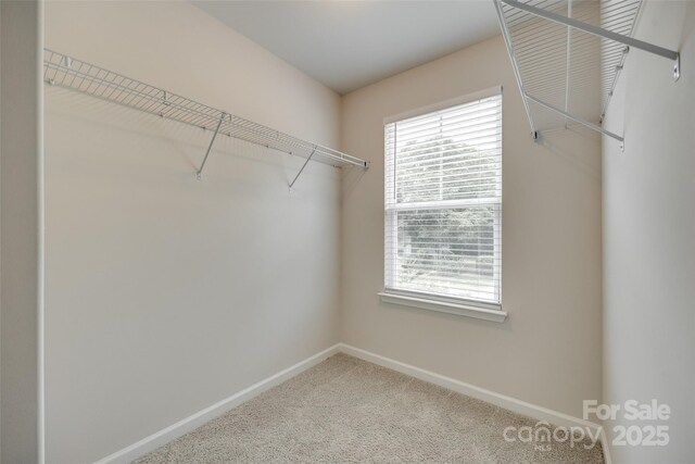 463 W Barr St, Lancaster, SC 29720 - spacious closet featuring carpet flooring