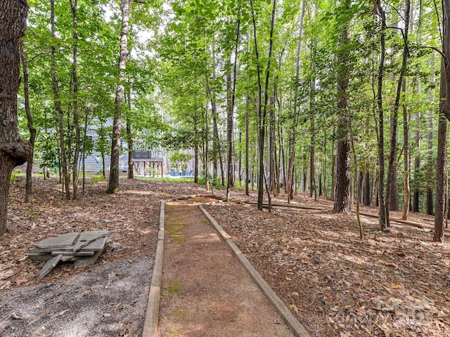105 Beech Bluff Dr, Mount Holly, NC 28120 - view of yard