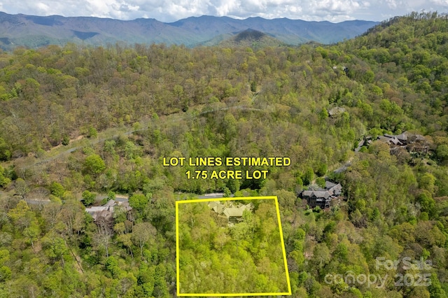 140 Wormy Chestnut Rd, Burnsville, NC 28714 - photo 15