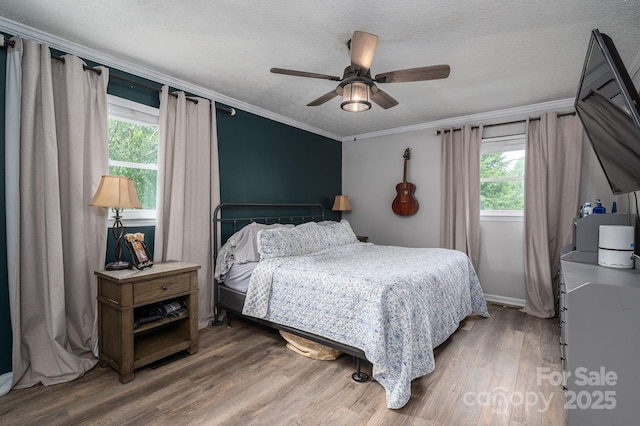 2206 Whitworth Rd, Cherryville, NC 28021 - bedroom with wood finished floors, a textured ceiling, a ceiling fan, and ornamental molding