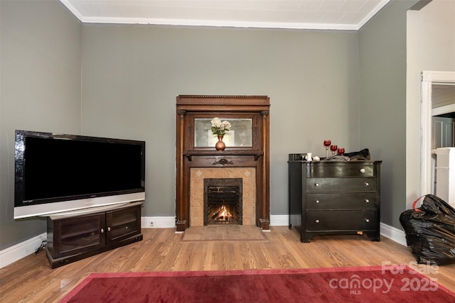 1637 N College Ave, Newton, NC 28658 - living area featuring wood finished floors, a tile fireplace, ornamental molding, and baseboards