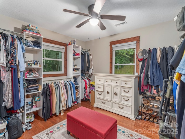 1903 Mauney Cove Rd, Waynesville, NC 28786 - walk in closet with ceiling fan and light wood-style floors