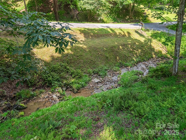 1903 Mauney Cove Rd, Waynesville, NC 28786 - view of yard