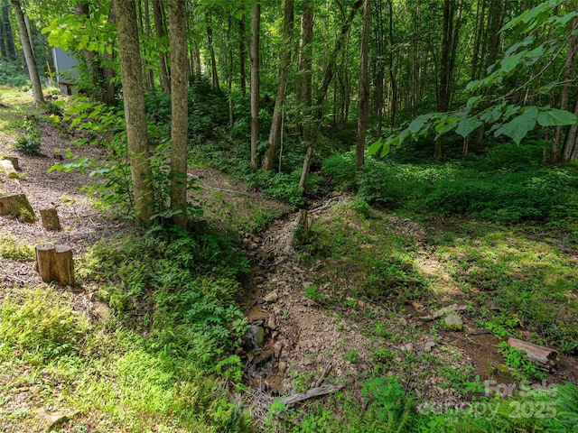 1903 Mauney Cove Rd, Waynesville, NC 28786 - view of local wilderness