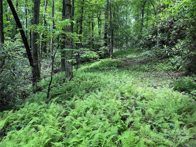 TBD Caroline Ln Unit 7R, Pisgah Forest, NC 28768