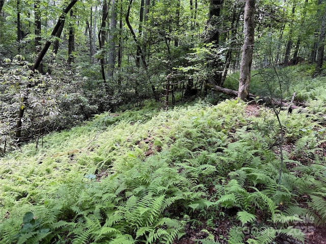 TBD Caroline Ln Unit 7R, Pisgah Forest, NC 28768
