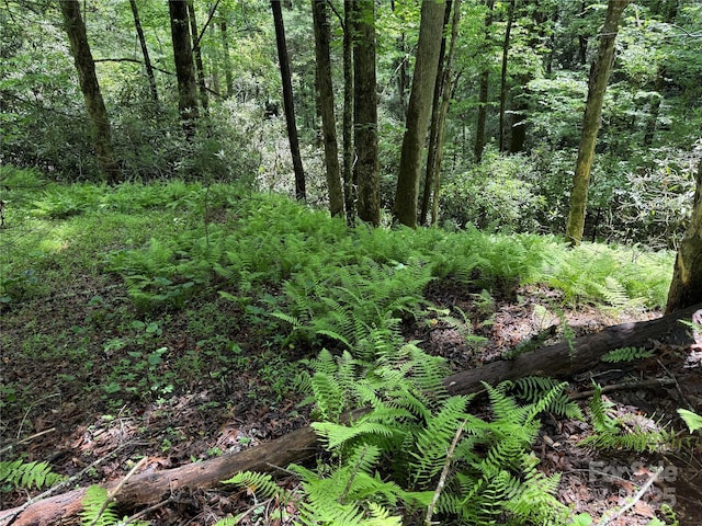 TBD Caroline Ln Unit 7R, Pisgah Forest, NC 28768
