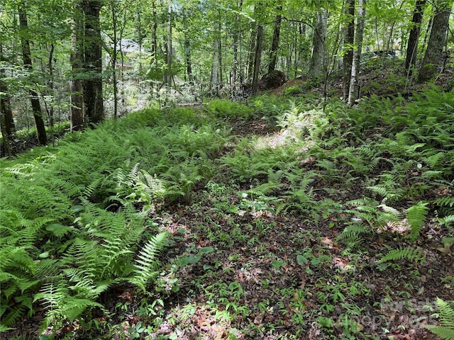 TBD Caroline Ln Unit 7R, Pisgah Forest, NC 28768