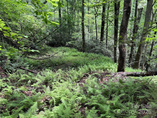TBD Caroline Ln Unit 7R, Pisgah Forest, NC 28768